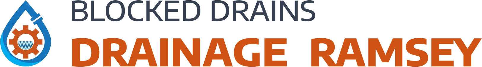 website logo